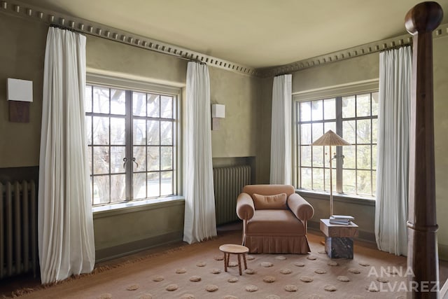 727 Plymouth Rd SE, East Grand Rapids, MI 49506 - sitting room featuring radiator heating unit and healthy amount of natural light