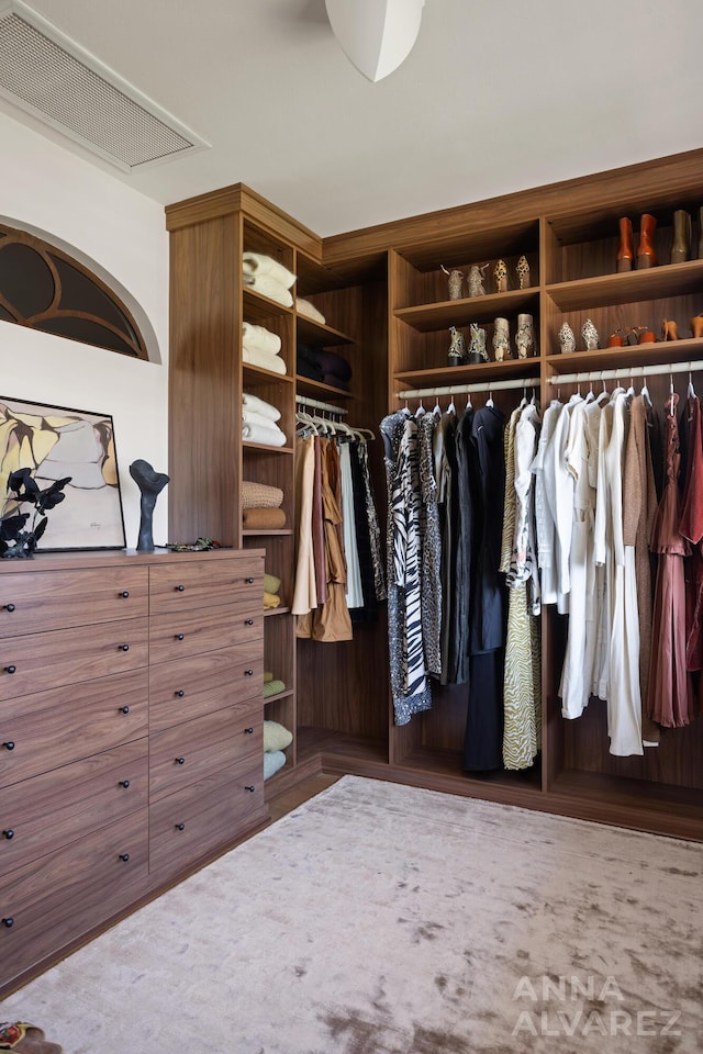727 Plymouth Rd SE, East Grand Rapids, MI 49506 - view of walk in closet