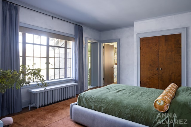 727 Plymouth Rd SE, East Grand Rapids, MI 49506 - bedroom featuring radiator and carpet flooring