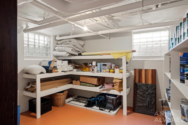 727 Plymouth Rd SE, East Grand Rapids, MI 49506 - view of storage area