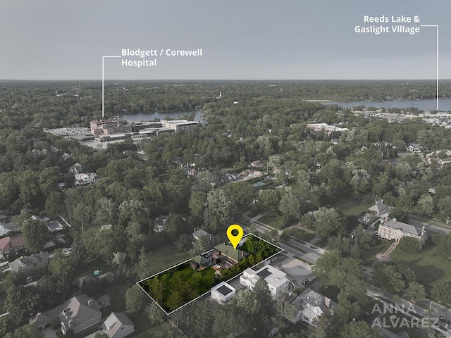727 Plymouth Rd SE, East Grand Rapids, MI 49506 - aerial overview of property's location featuring a nearby body of water and property boundaries highlighted