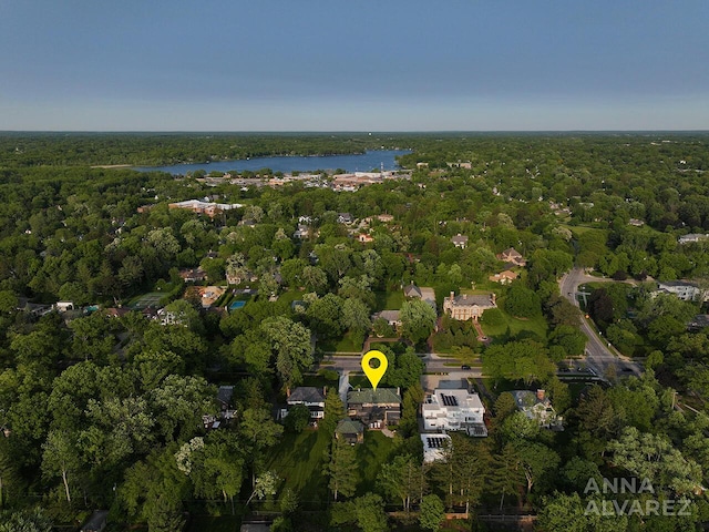 727 Plymouth Rd SE, East Grand Rapids, MI 49506 - view of property location featuring a forest and a large body of water