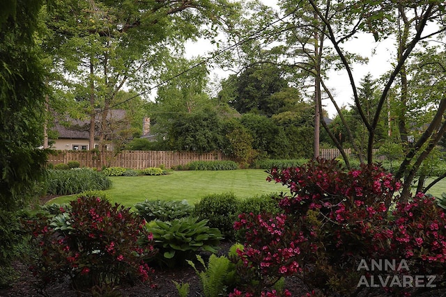 727 Plymouth Rd SE, East Grand Rapids, MI 49506 - view of yard