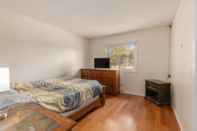 6665 E Lake St, Sand Lake, MI 49343 - bedroom featuring baseboards and light wood-style floors