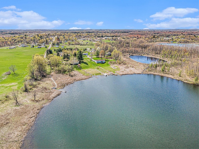 6665 E Lake St, Sand Lake, MI 49343 - aerial view featuring a water view