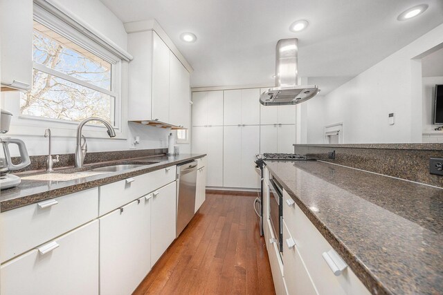 6665 E Lake St, Sand Lake, MI 49343 - kitchen with a sink, hardwood / wood-style flooring, island range hood, white cabinets, and stainless steel dishwasher