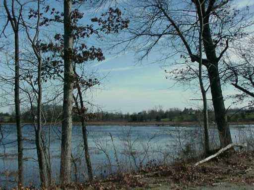 Listing photo 3 for 11022 Austin Rd, Brooklyn MI 49230