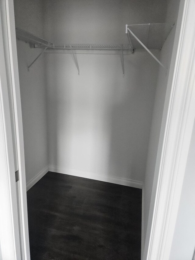 spacious closet featuring dark wood-type flooring and attic access