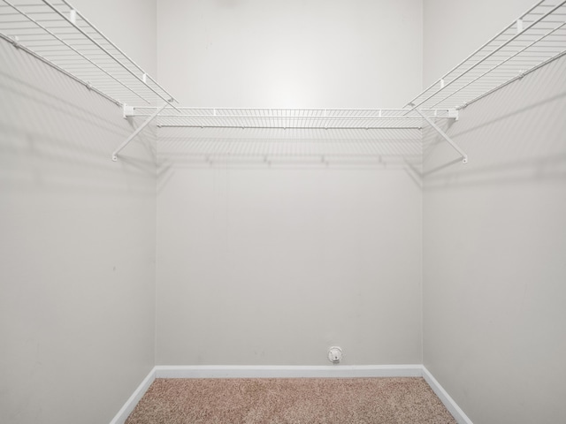 spacious closet featuring light carpet