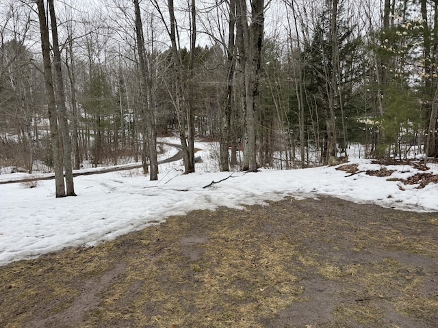 yard covered in snow with a view of trees