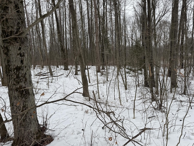 view of snow covered land featuring a view of trees