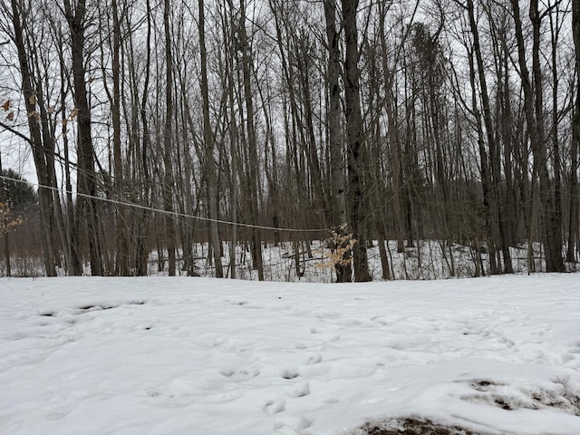 view of snow covered land with a wooded view