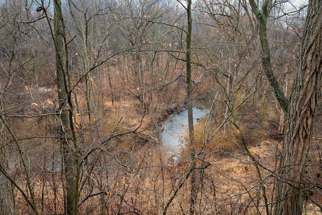 property view of water featuring a wooded view