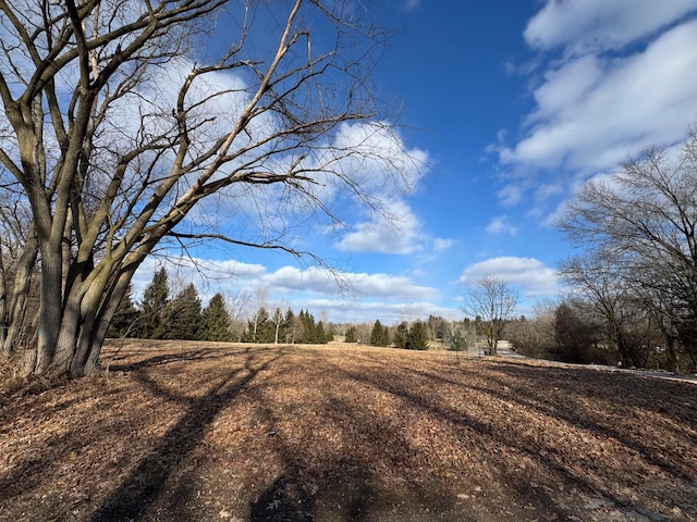 858 Highland, Chelsea MI, 48118 land for sale