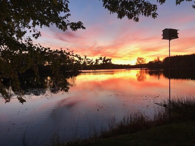 8581 Lynwood Ln, Mecosta, MI 49332 - water view