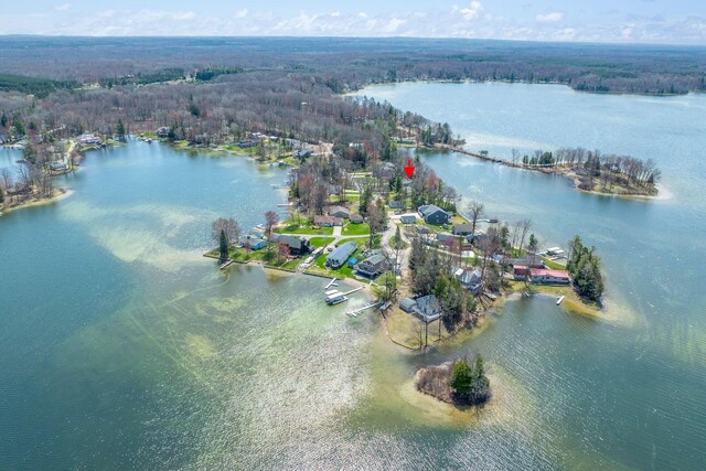 8581 Lynwood Ln, Mecosta, MI 49332 - aerial view featuring a water view and a forest view
