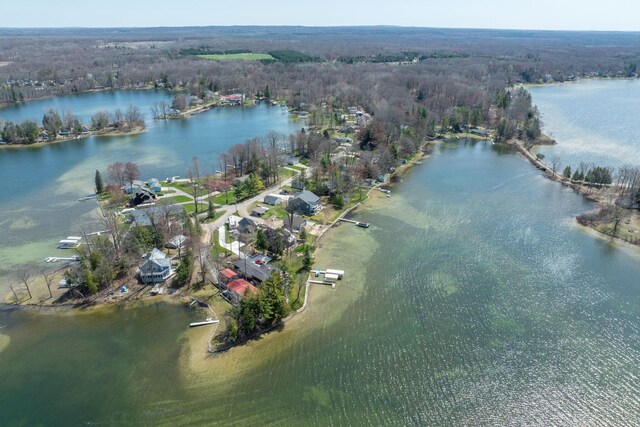 8581 Lynwood Ln, Mecosta, MI 49332 - drone / aerial view with a water view and a wooded view