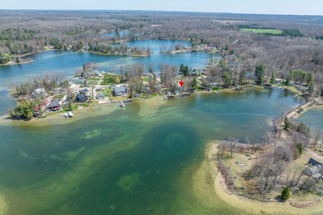 8581 Lynwood Ln, Mecosta, MI 49332 - aerial view with a water view and a forest view
