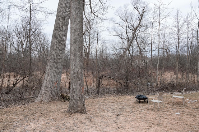 view of yard with an outdoor fire pit