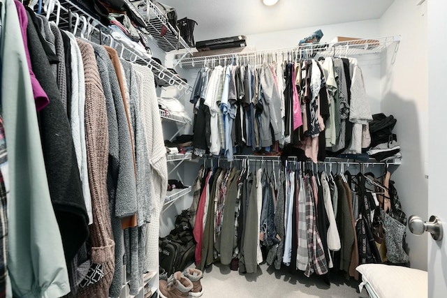 spacious closet featuring carpet