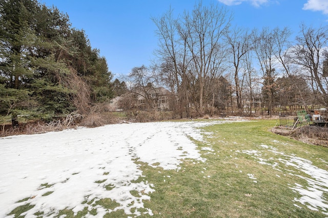 view of yard covered in snow