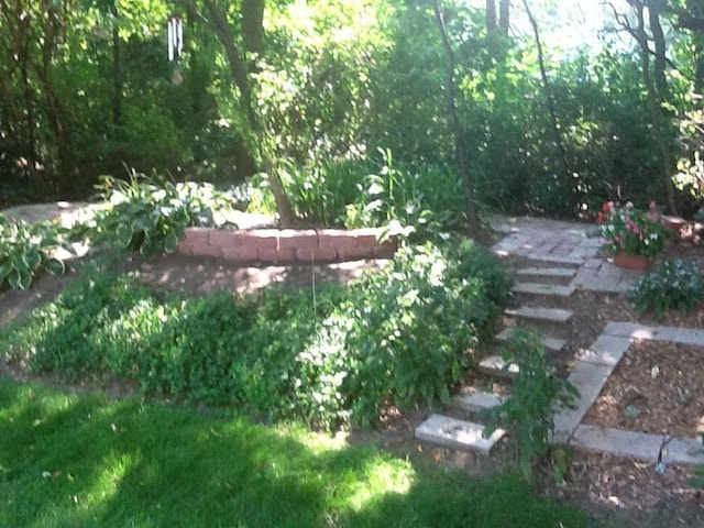 view of yard with a garden