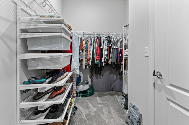 spacious closet with carpet