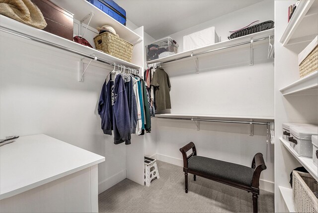 spacious closet featuring carpet