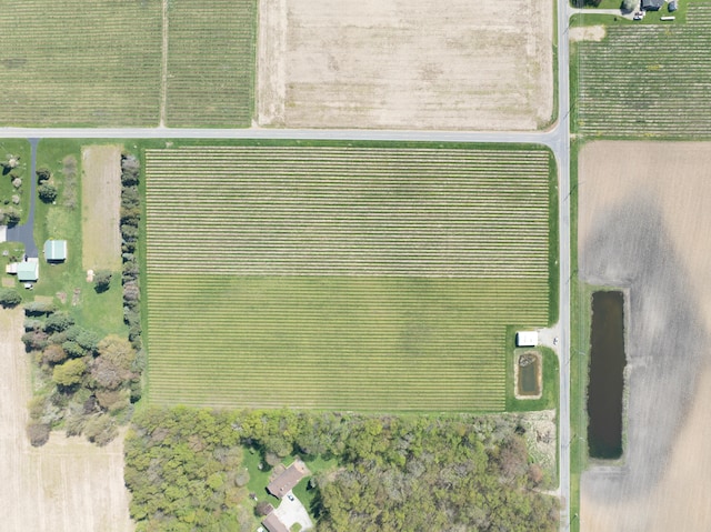 Scottdale Rd Unit 15, Berrien Springs, MI 49103