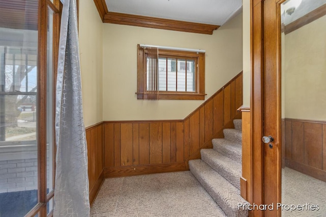 staircase with ornamental molding, wainscoting, wooden walls, and carpet flooring