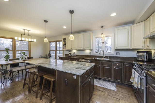 kitchen with dark brown cabinetry, stainless steel appliances, dark wood-style flooring, a sink, and a center island