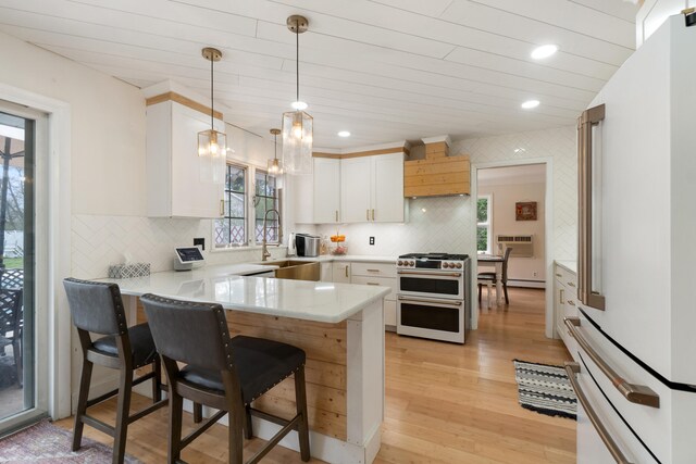 kitchen featuring a healthy amount of sunlight, premium appliances, a peninsula, and custom exhaust hood