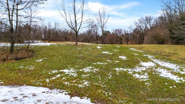 5625 Lacey Rd Unit 2, Dowling, MI 49050