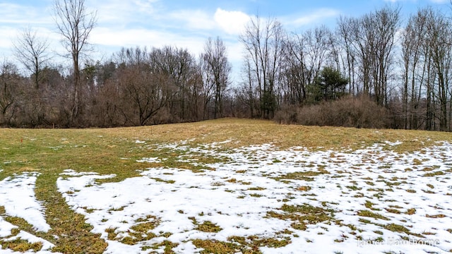 5625 Lacey Rd Unit 2, Dowling, MI 49050