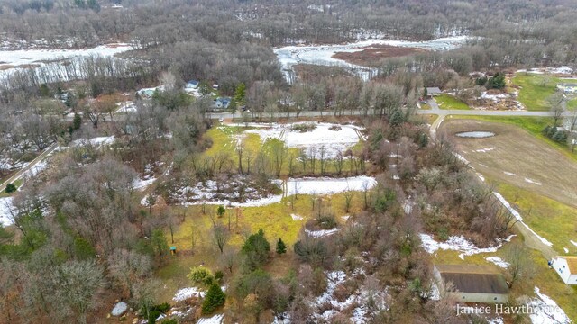 5625 Lacey Rd Unit 2, Dowling, MI 49050