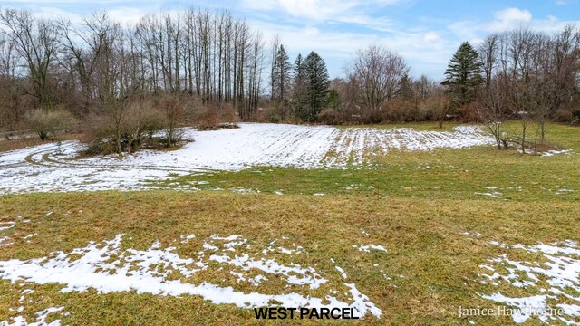 5625 Lacey Rd Unit 2, Dowling, MI 49050