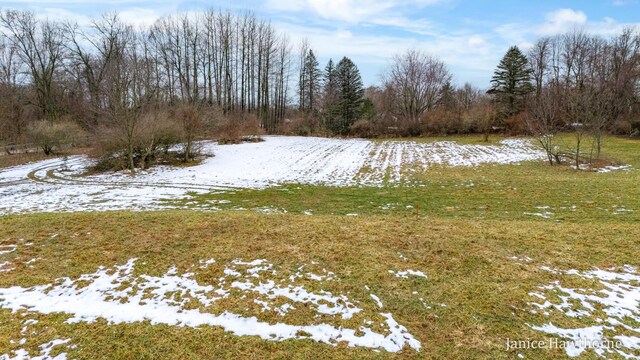 5625 Lacey Rd Unit 2, Dowling, MI 49050