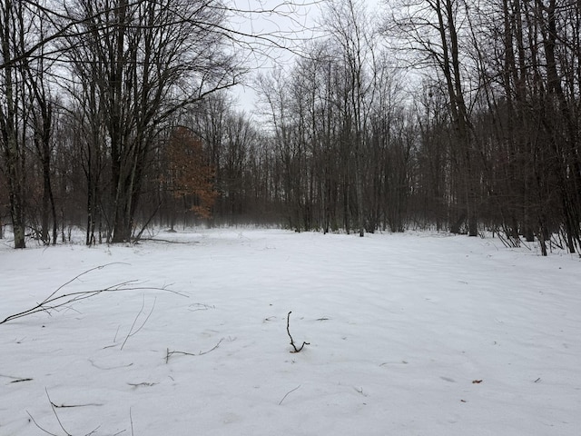 snowy yard with a wooded view