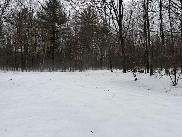 view of yard layered in snow