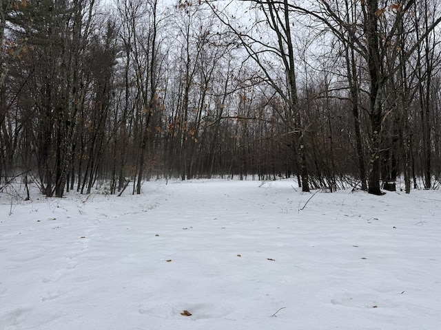 view of snowy yard