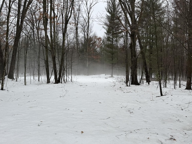 view of yard layered in snow