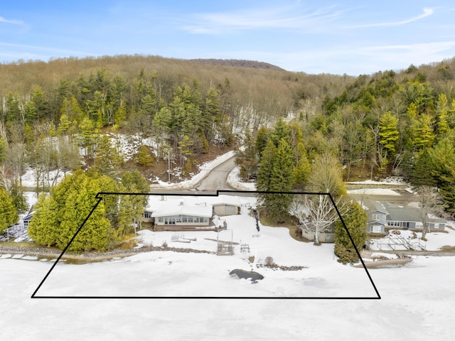 snowy aerial view featuring a view of trees