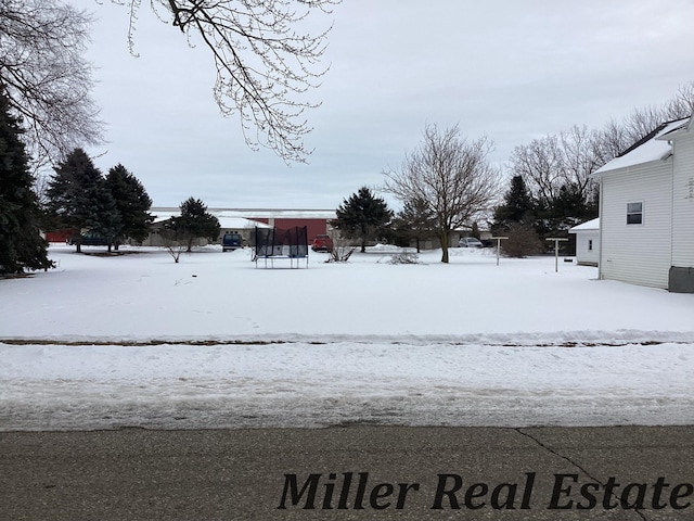 view of snowy yard