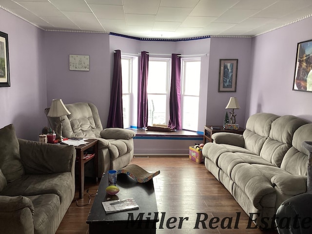 living room featuring wood finished floors