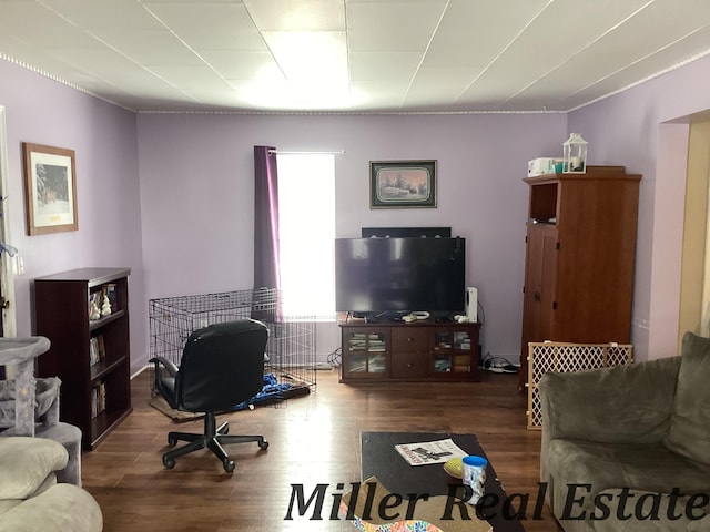 living room with wood finished floors