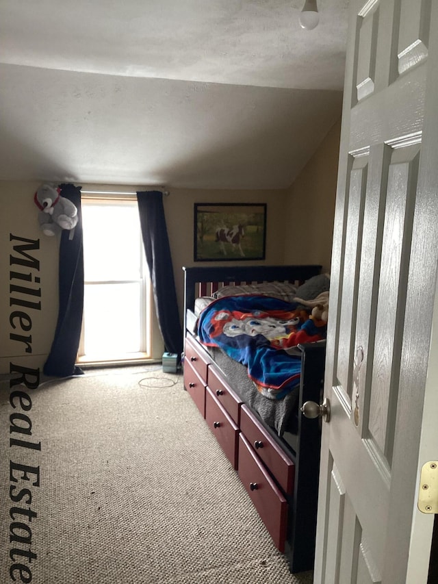 bedroom featuring lofted ceiling and carpet floors