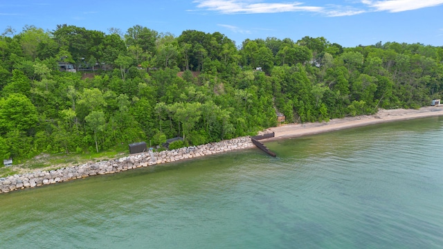 view of water feature with a view of trees