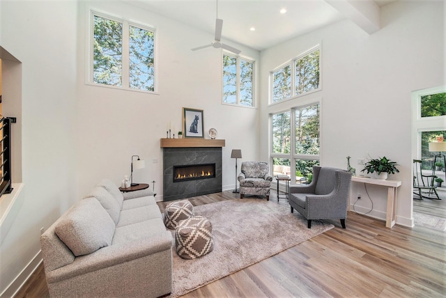 living area with a fireplace, plenty of natural light, wood finished floors, and baseboards