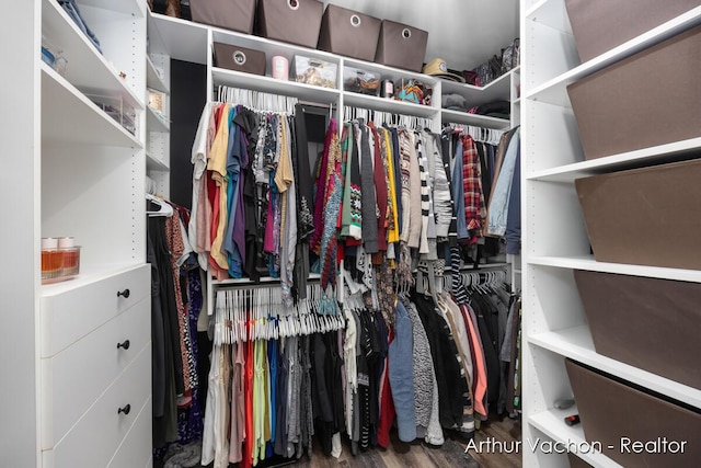 walk in closet featuring wood finished floors