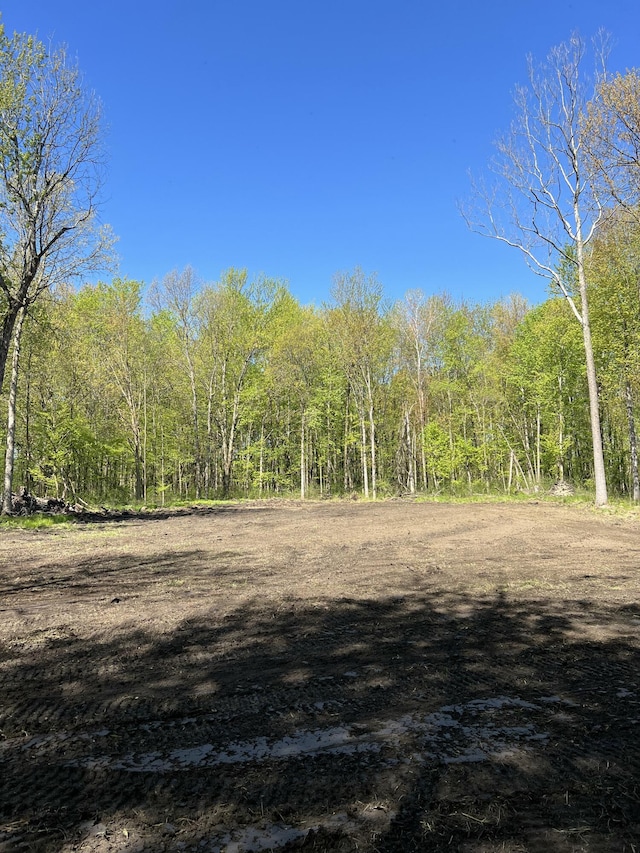 34880 72nd St, Covert, MI 49043